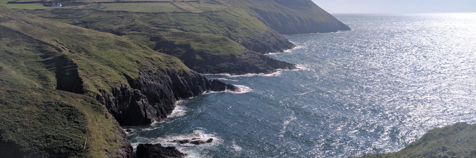 Alison O. Patch banner