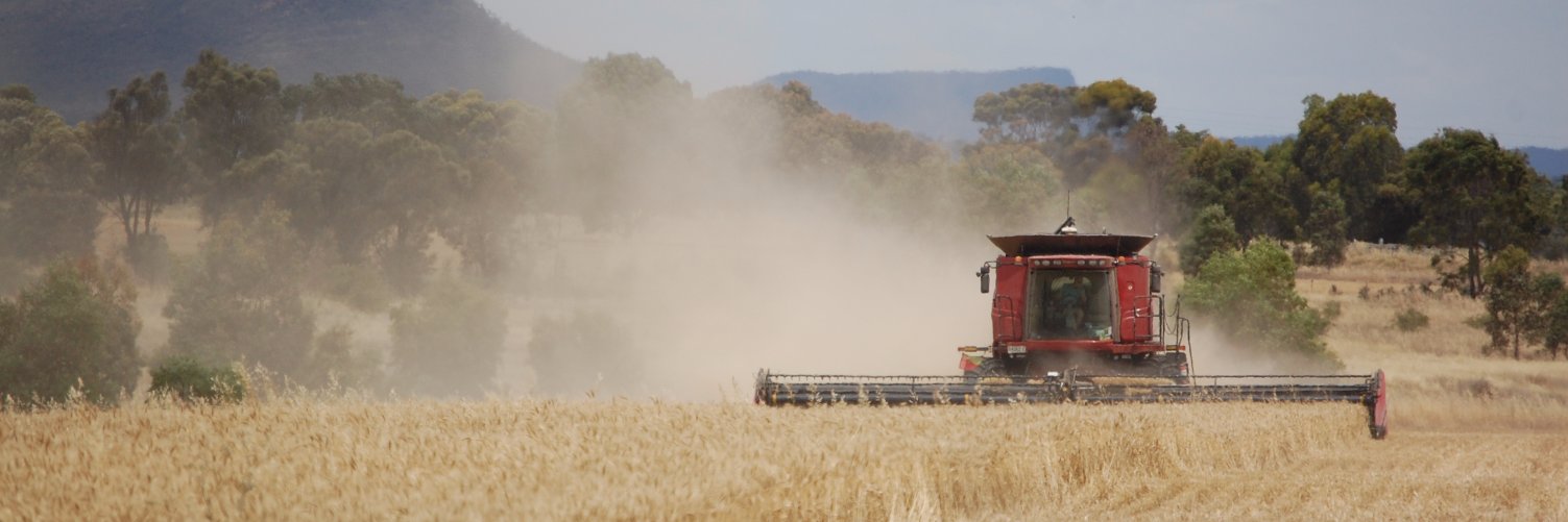 growgoodgrain banner