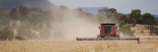 SFindlaytickner Profile Banner