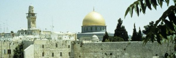 ZaidAlayoubi3 Profile Banner