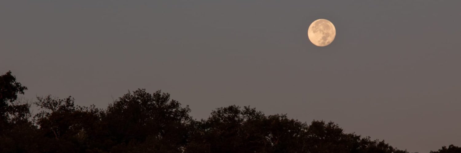 chloecasas's profile banner image