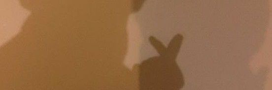 𝓢𝓱𝓸𝓸𝓴𝔂 𝓜𝔂.🥢 banner