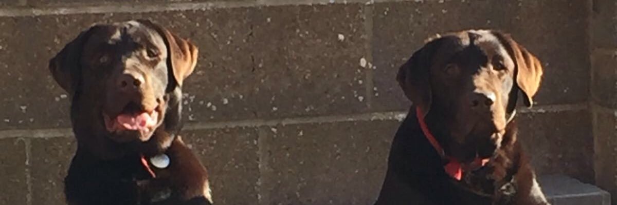 FlackSally's profile banner image
