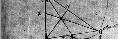 Teresa Cabrita banner