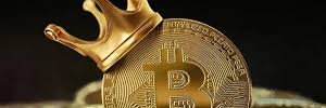 Crypto Community🍊,💊 banner
