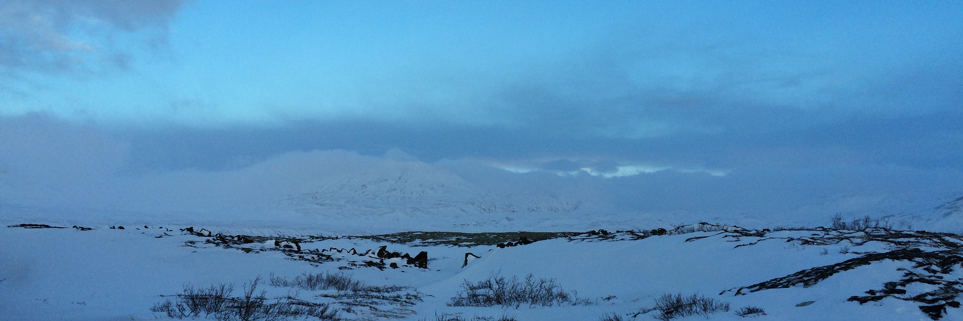 Madeleine George banner