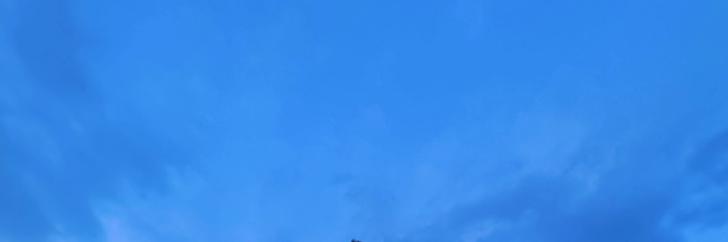 Leaaabear's profile banner image