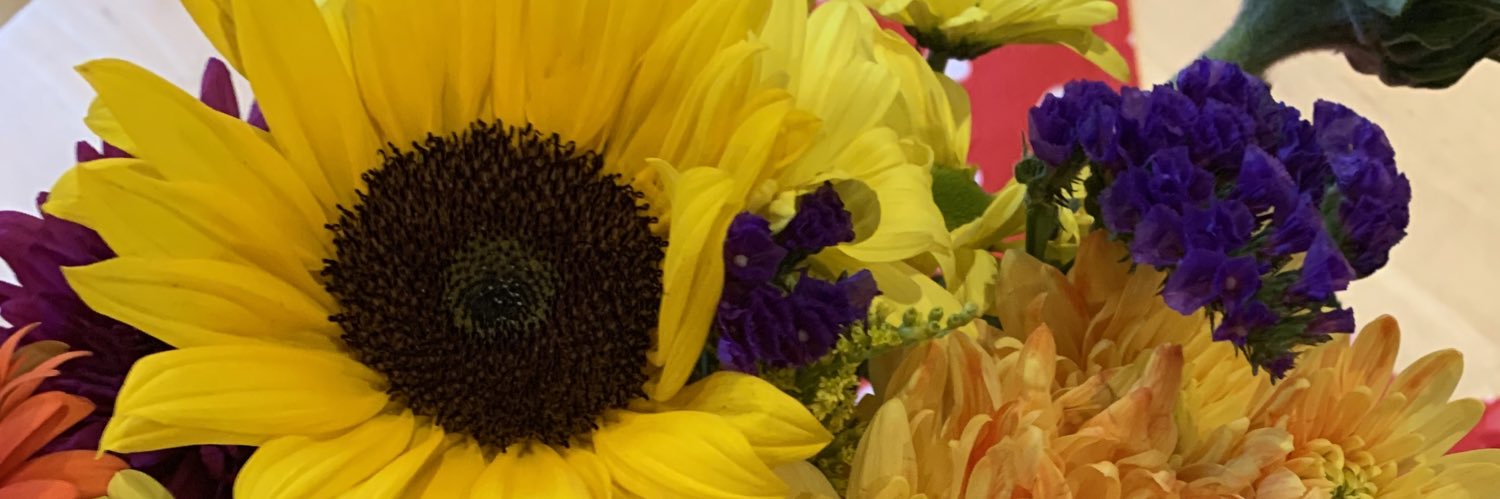 𝐺𝑒𝑜𝑟𝑔𝑖𝑒 👩🏽‍🏫 banner