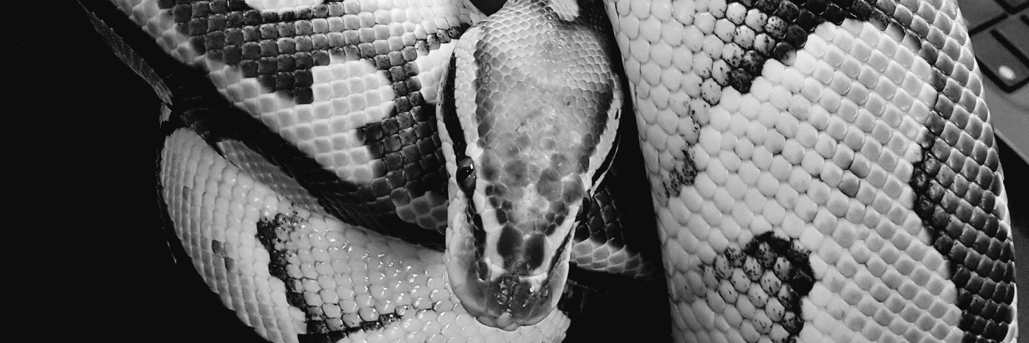 Snakefreak66's profile banner image
