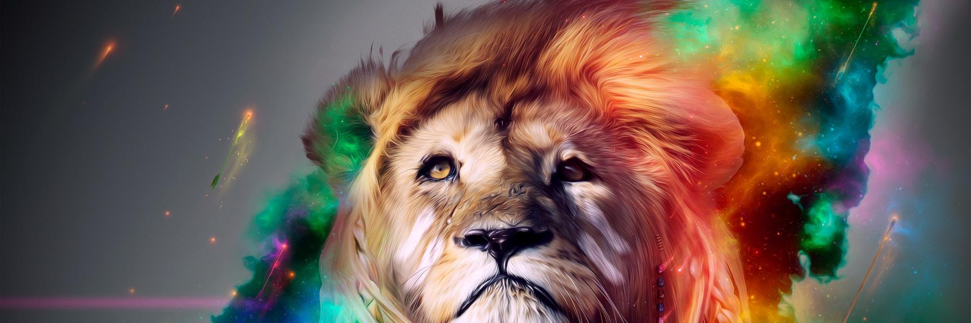 waplet's profile banner image