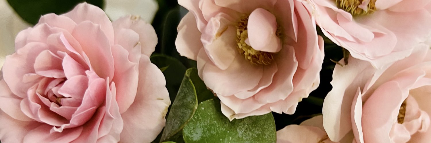 mirisayalar's profile banner image
