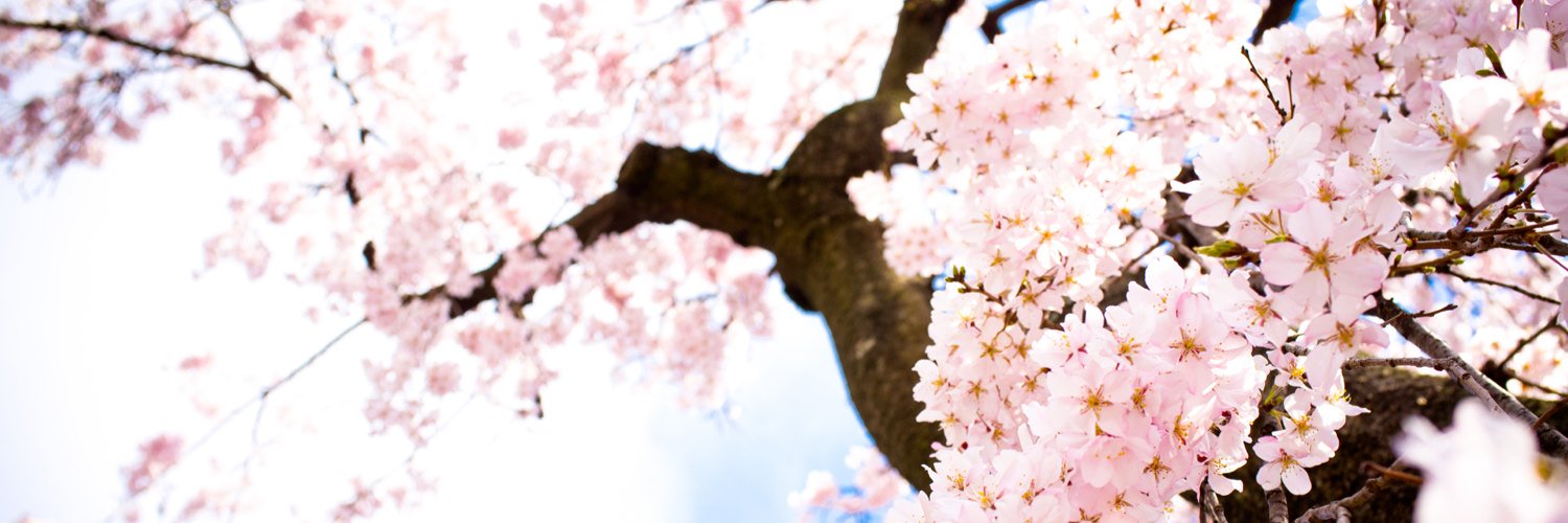 IronicButIconic's profile banner image
