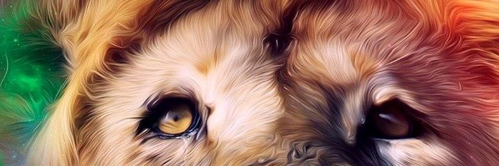 isaacoderinde64's profile banner image