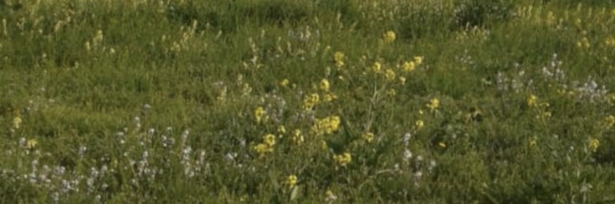 صاحب الحساب في ذمة الله banner