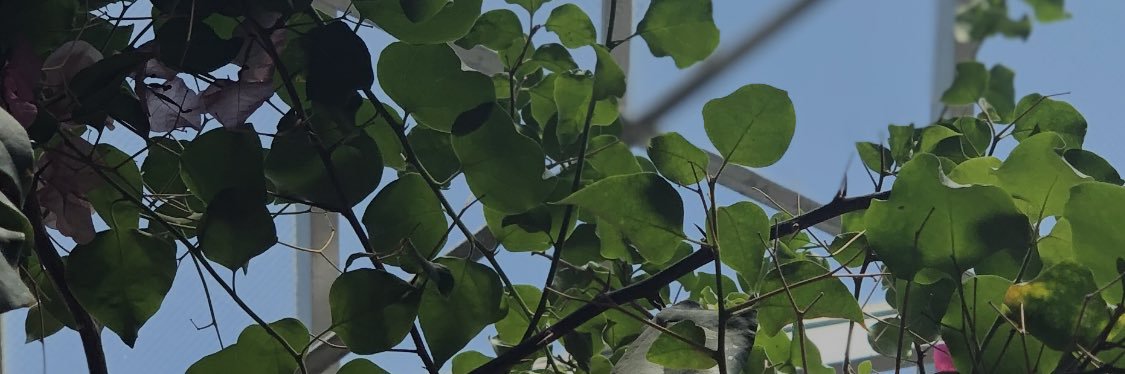 MeganHolwerda's profile banner image