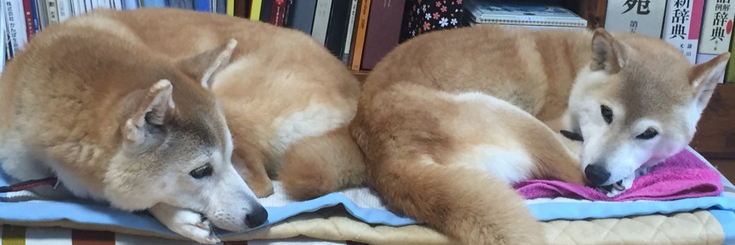 lovolty's profile banner image