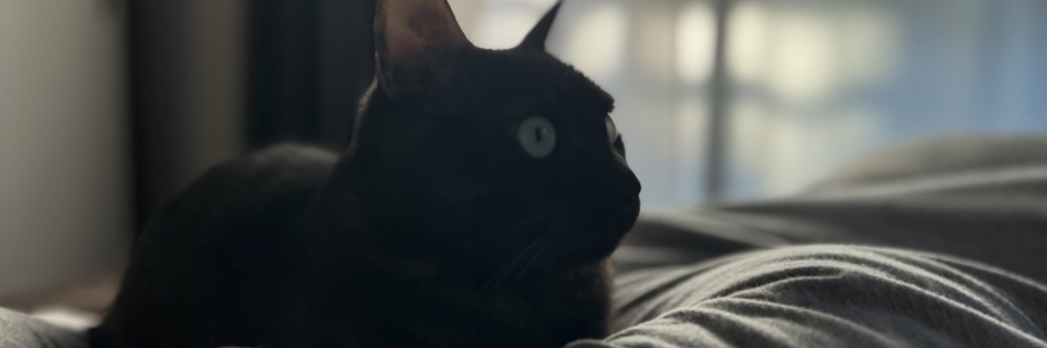 watapple's profile banner image
