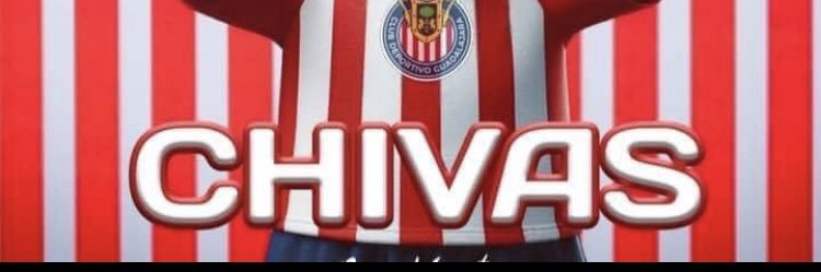 luis banner