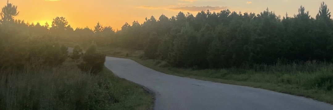 rafx199's profile banner image