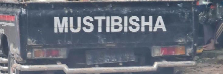 sbradabadui's profile banner image