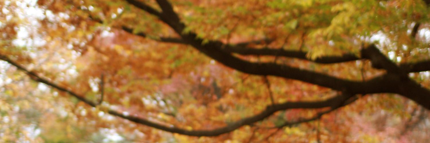 dohanil's profile banner image