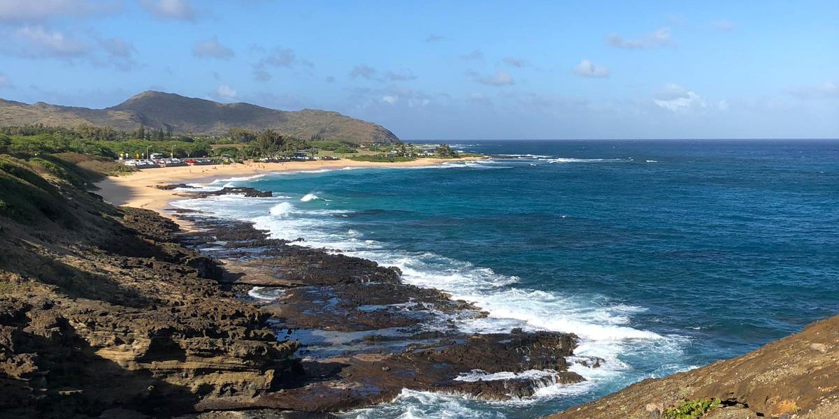 Nicholas Yong banner