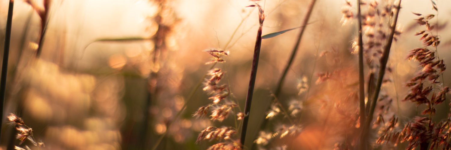 azrie_nn's profile banner image
