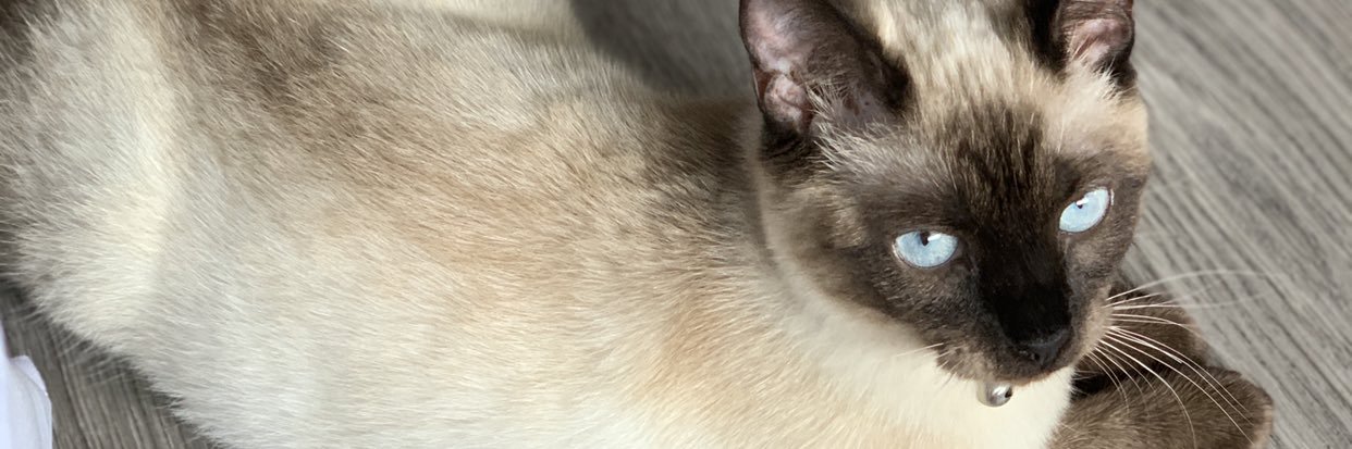 rooheezy's profile banner image