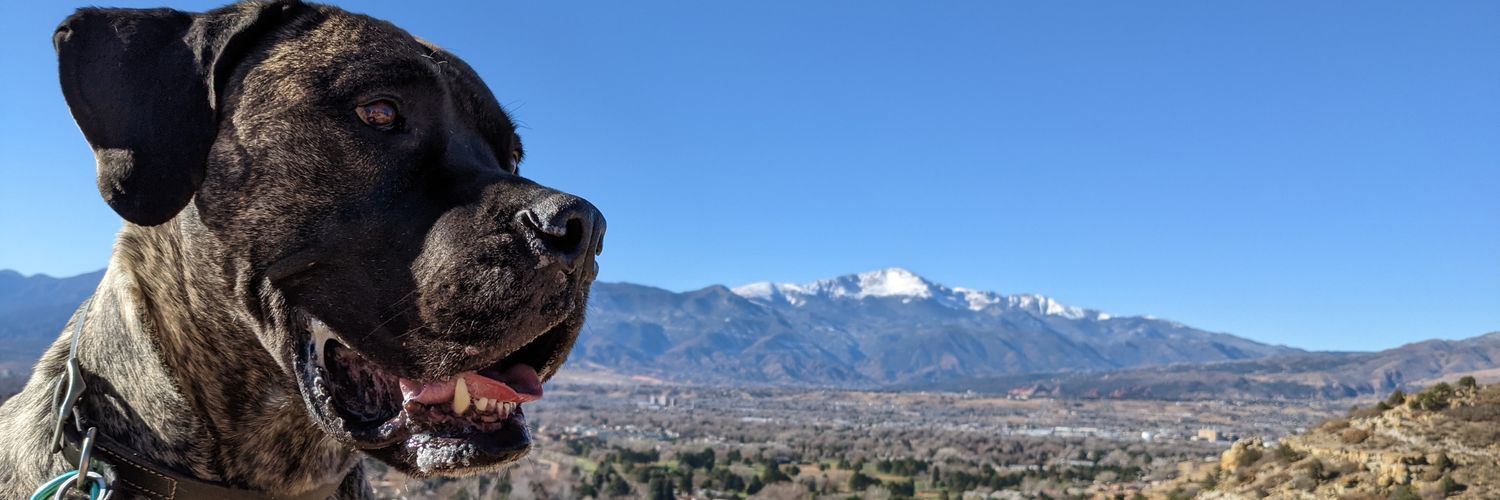 RudeBeast's profile banner image