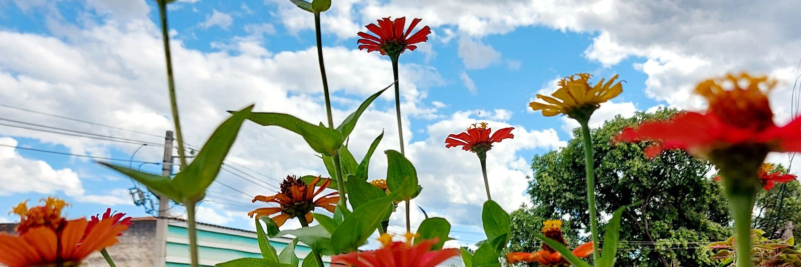 Sharla_Maria's profile banner image