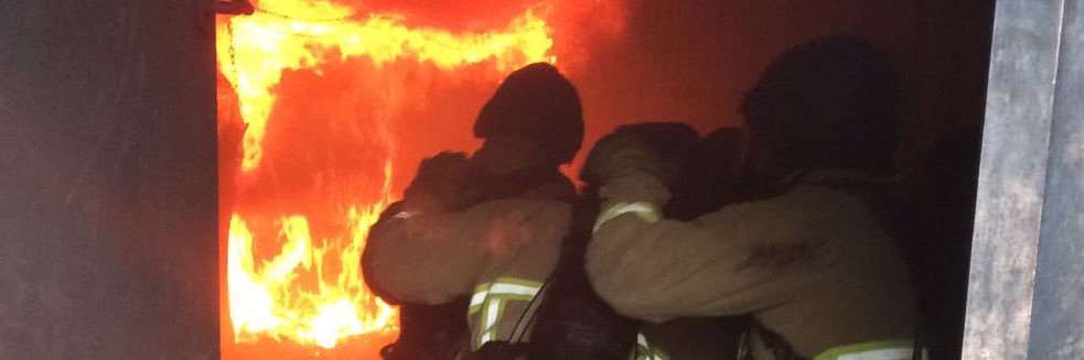 James Rossano Bull banner