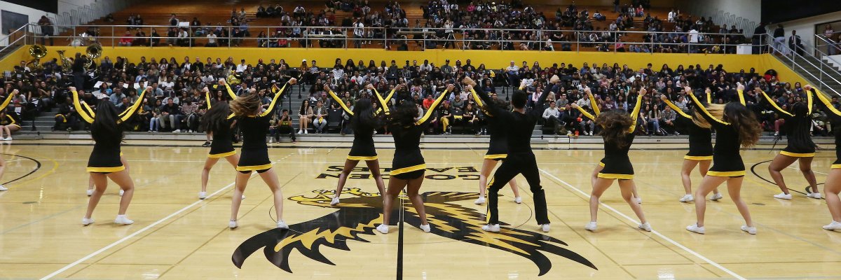 Division of Student Life banner