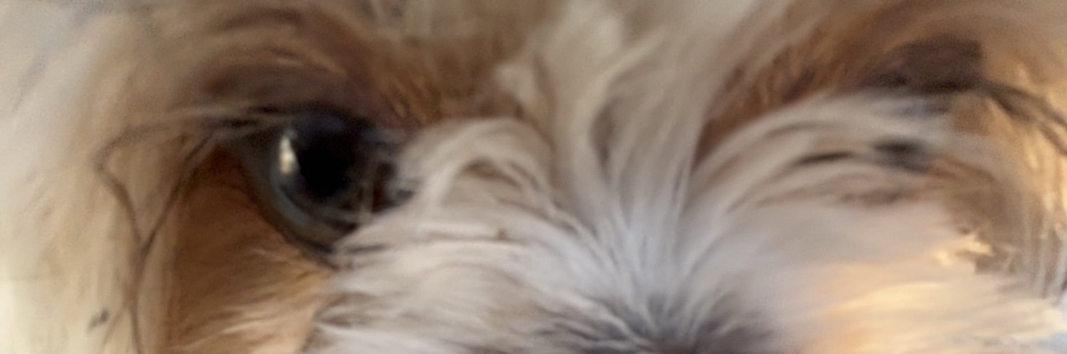 cable_jacques's profile banner image