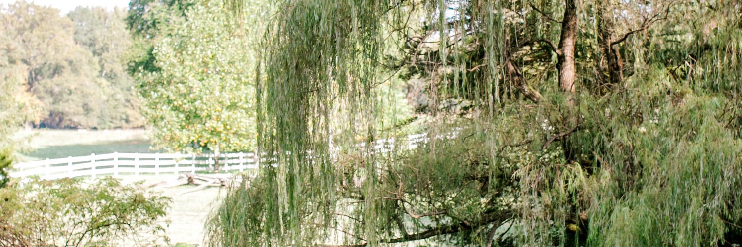 nbrantingham's profile banner image