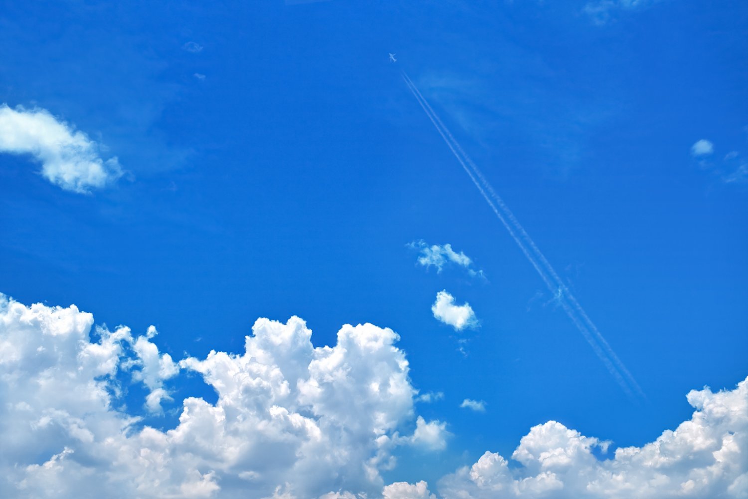 カフェ(ESS) banner