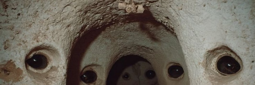 SuspectSamosa's profile banner image