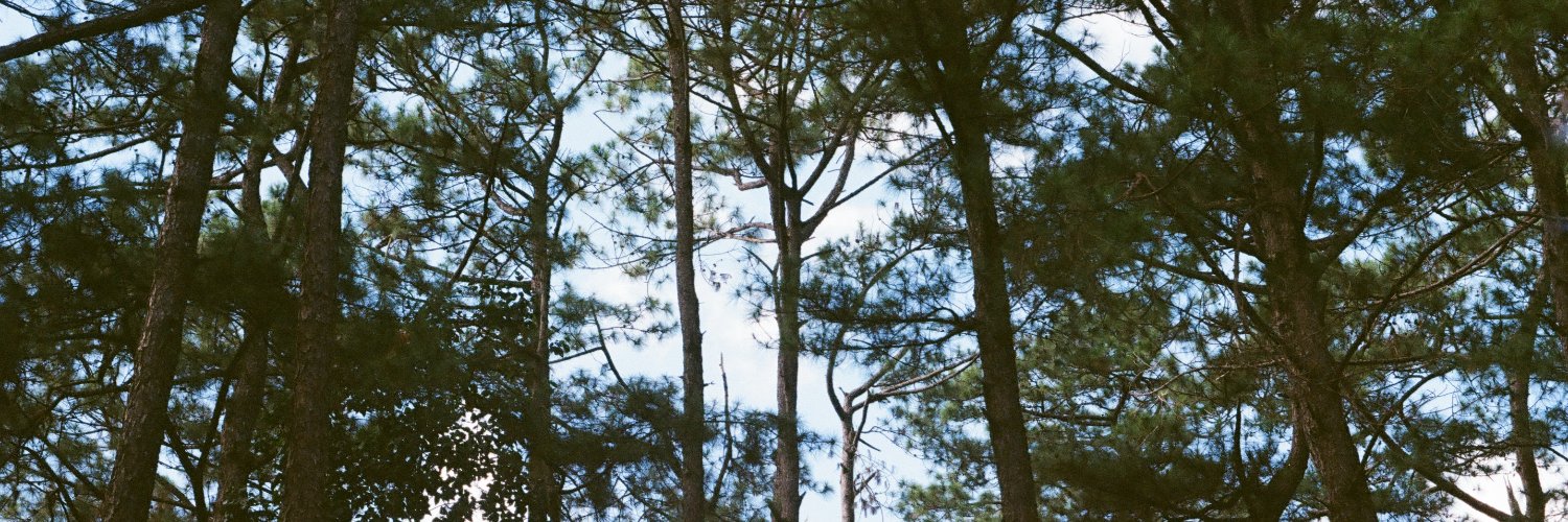 mitzi____'s profile banner image