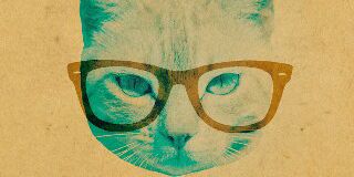 kikiktri's profile banner image