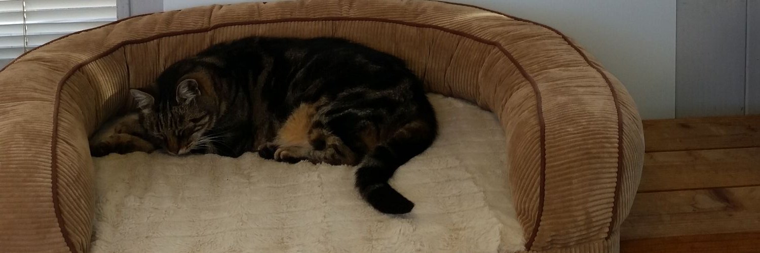 SolanoSPCA's profile banner image