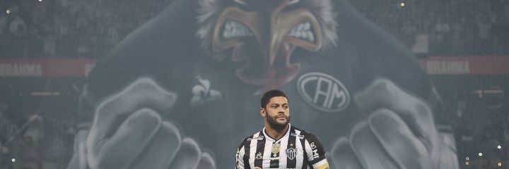 Victor Emanuel banner