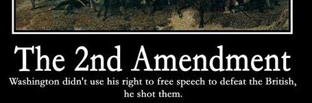 Voice of Liberty banner