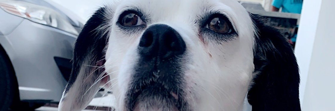 emilydavidson43's profile banner image