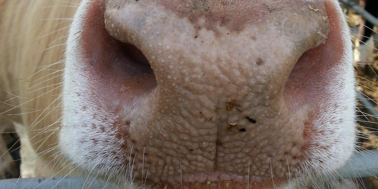 FFAGirlProbs's profile banner image