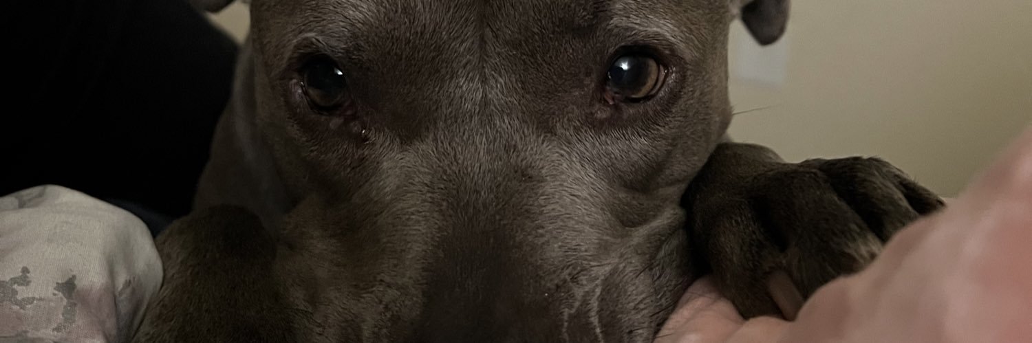 aaliyaaahd's profile banner image