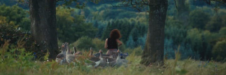 peetainluv's profile banner image