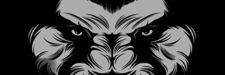 RaulBuri's profile banner image