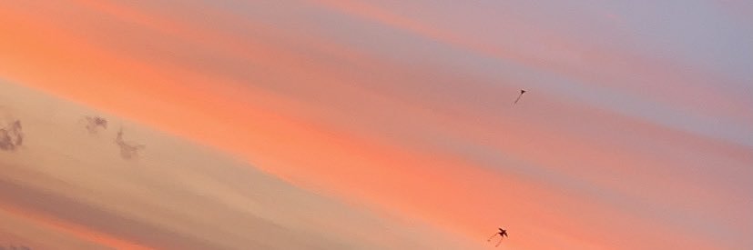 Jas_mine16's profile banner image