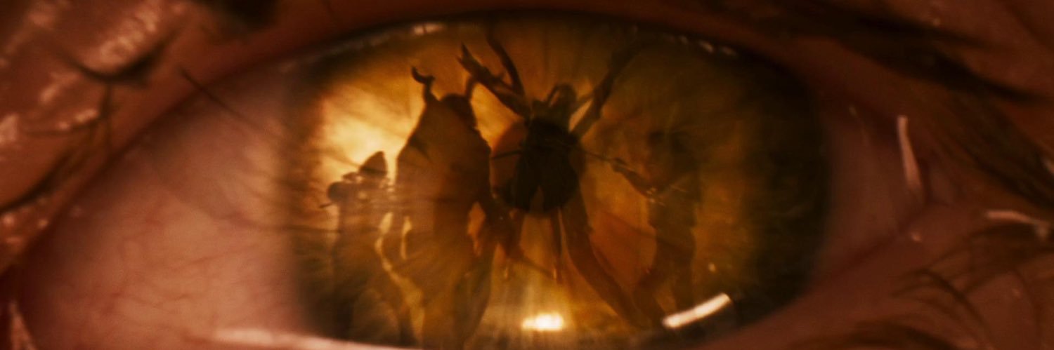 meg.'s banner