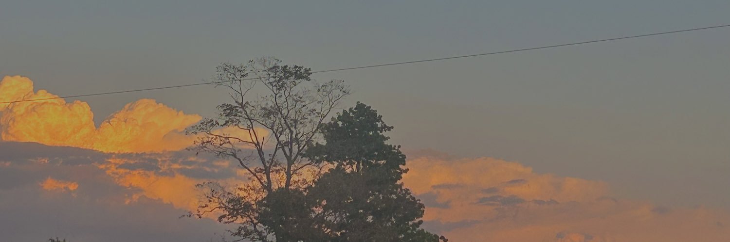 SimplyJulianna's profile banner image