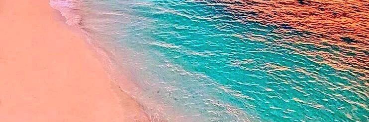 sneh235's profile banner image